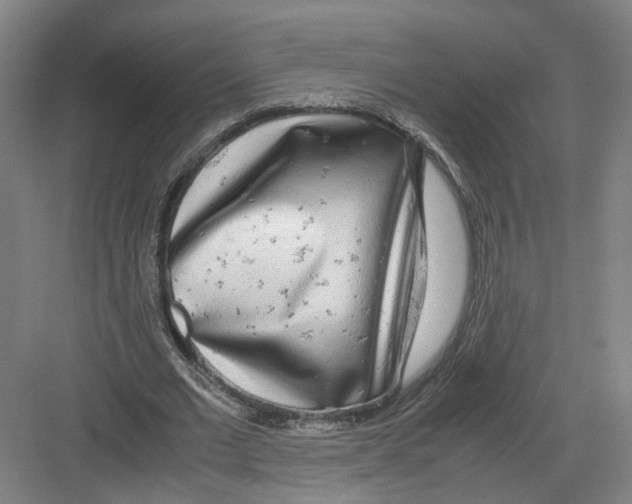 X0000082200677200702170019