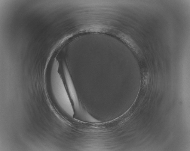 X0000082200678200702170019