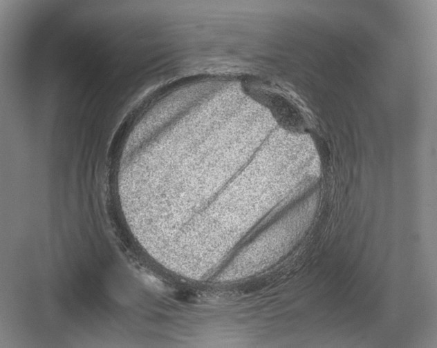 X0000082200679200702170019