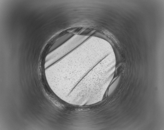 X0000082200680200702170019