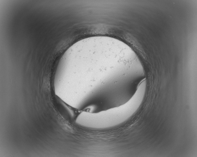 X0000082200681200702170019