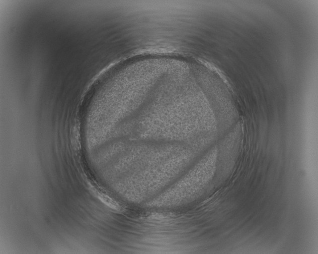 X0000082200684200702170019