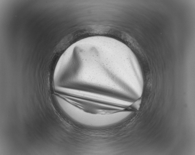 X0000082200685200702170019