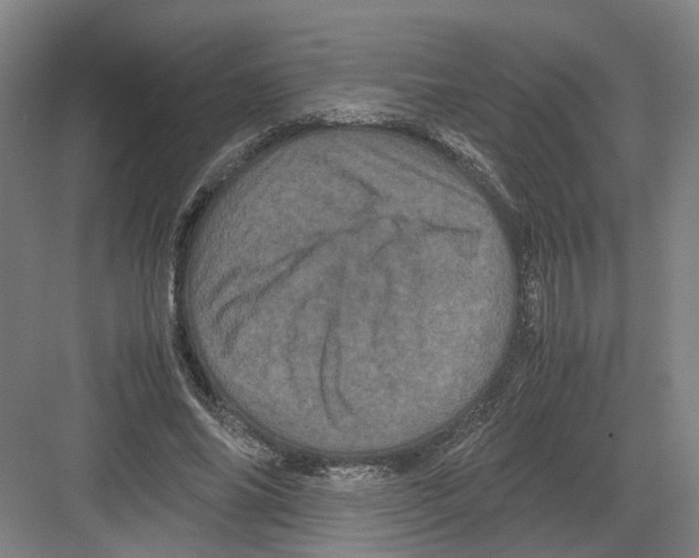 X0000082200686200702170019