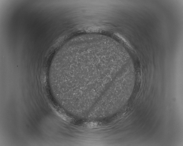 X0000082200687200702170019