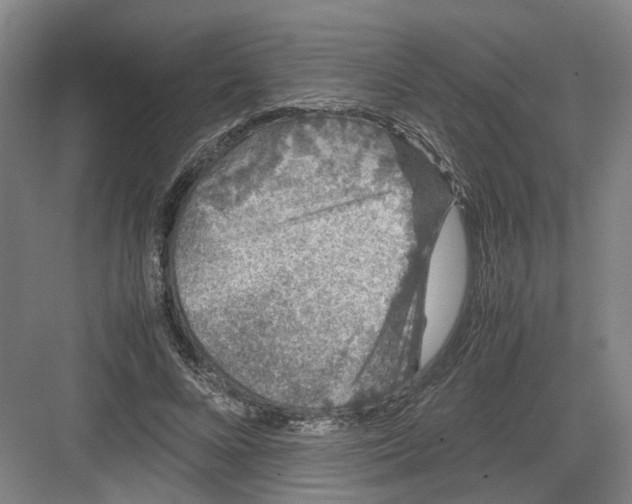 X0000082200688200702170019