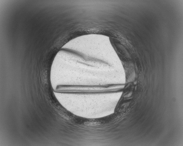 X0000082200689200702170019