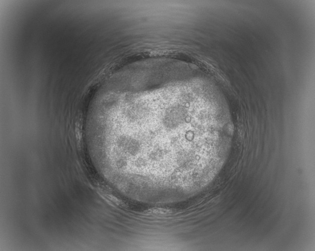 X0000082200691200702170019