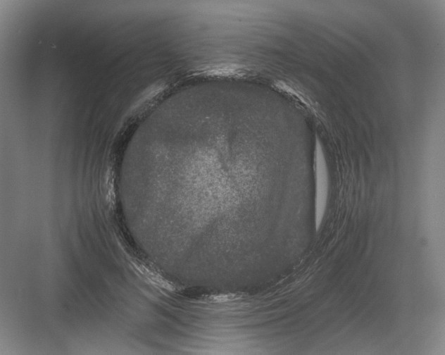 X0000082200692200702170019