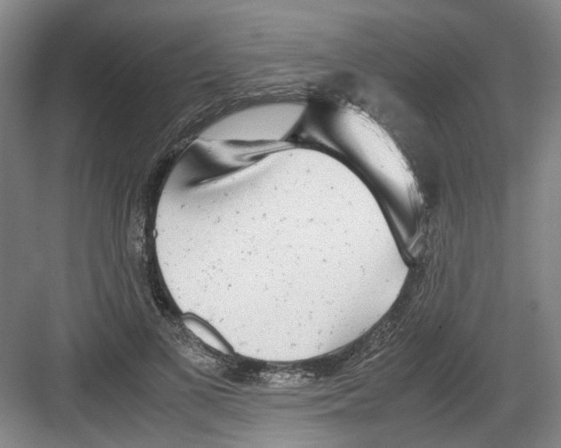 X0000082200693200702170019