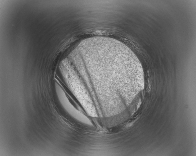 X0000082200696200702170018