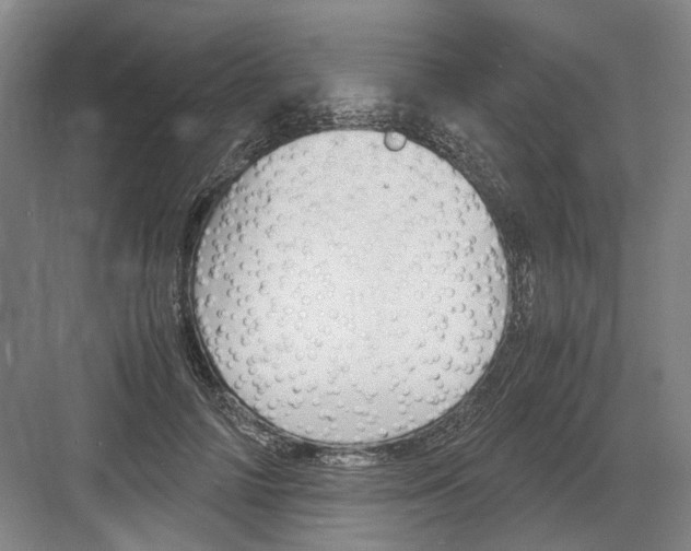 X0000082200698200702170018