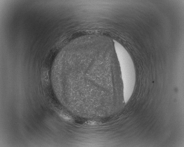 X0000082200699200702170018