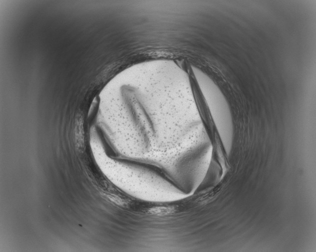 X0000082200700200702170018