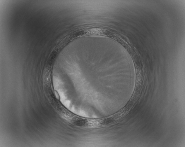 X0000082200701200702170018