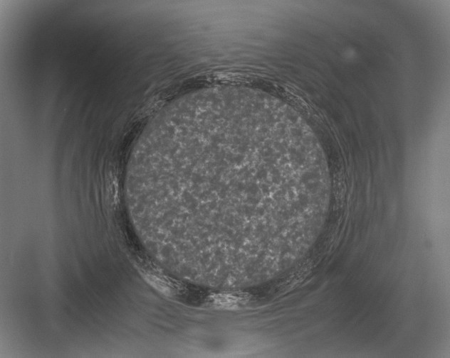 X0000082200703200702170018