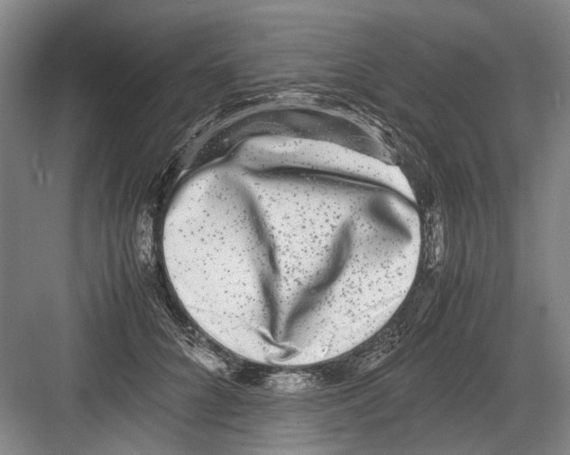 X0000082200704200702170018