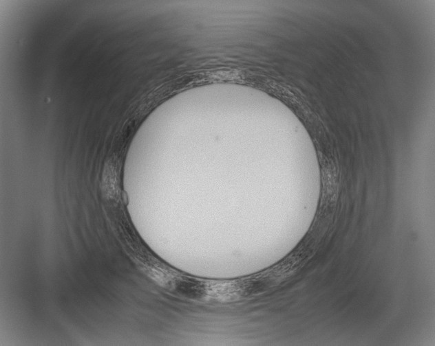 X0000082200705200702170018