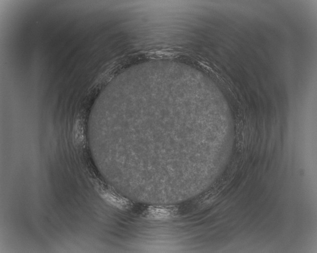 X0000082200706200702170018