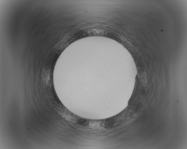 X0000082200709200702170018