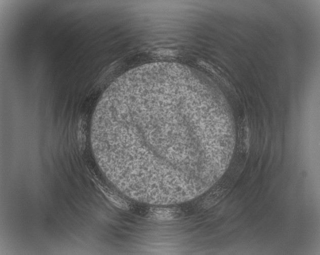 X0000082200710200702170018