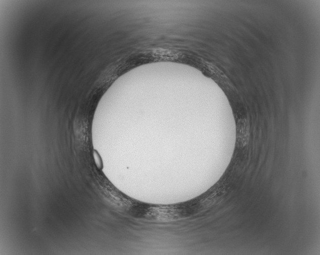 X0000082200713200702170018