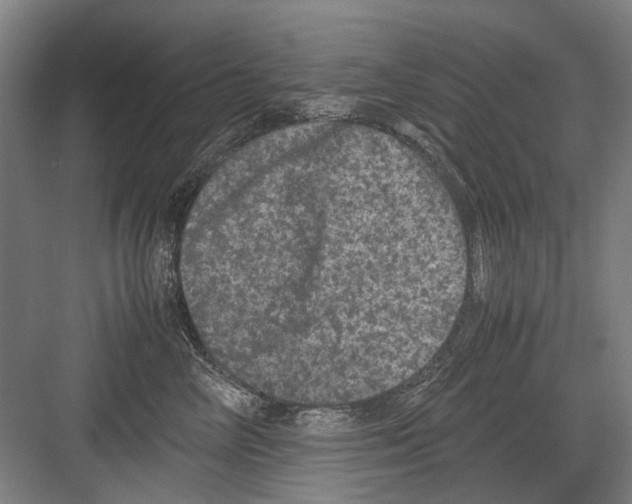 X0000082200714200702170018