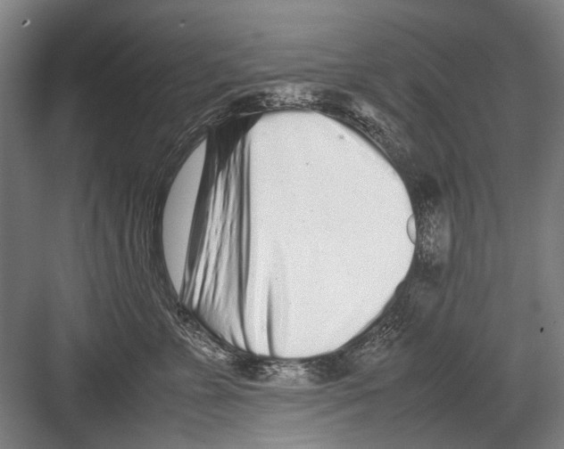 X0000082200715200702170018