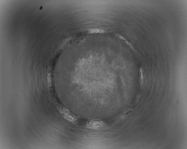 X0000082200716200702170018