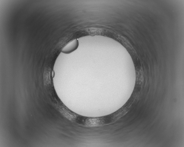 X0000082200717200702170018