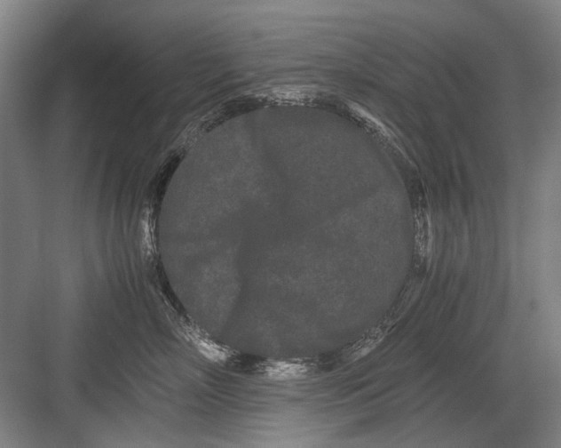 X0000082200718200702170018