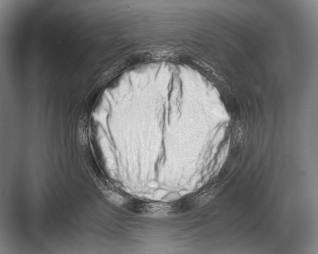 X0000082200719200702170018