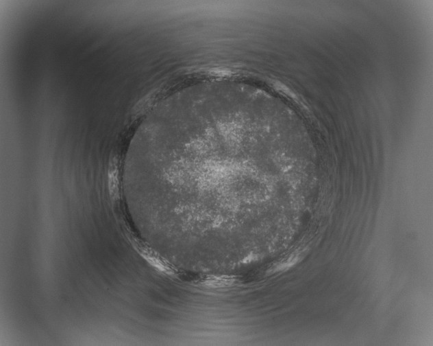 X0000082200720200702170018