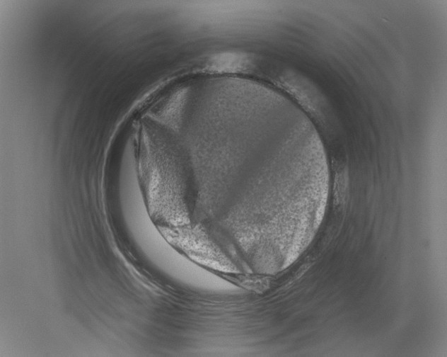 X0000082200722200702170017