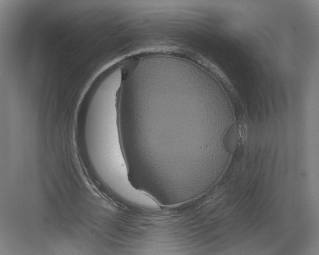 X0000082200724200702170017