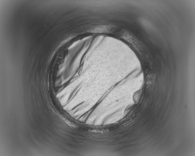 X0000082200727200702170017