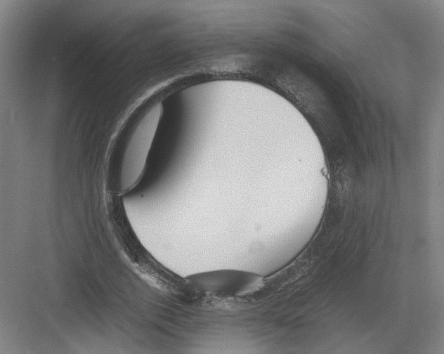 X0000082200728200702170017