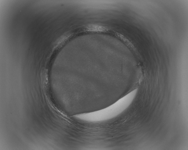 X0000082200731200702170017