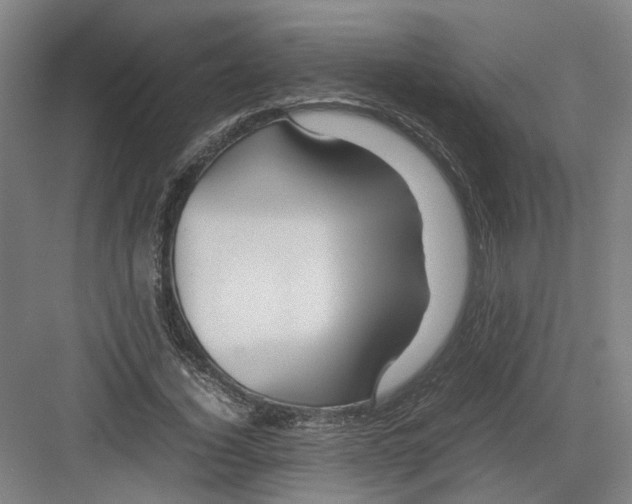 X0000082200732200702170017