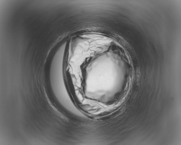 X0000082200734200702170017