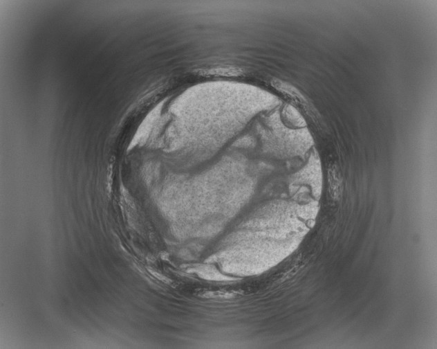 X0000082200735200702170017