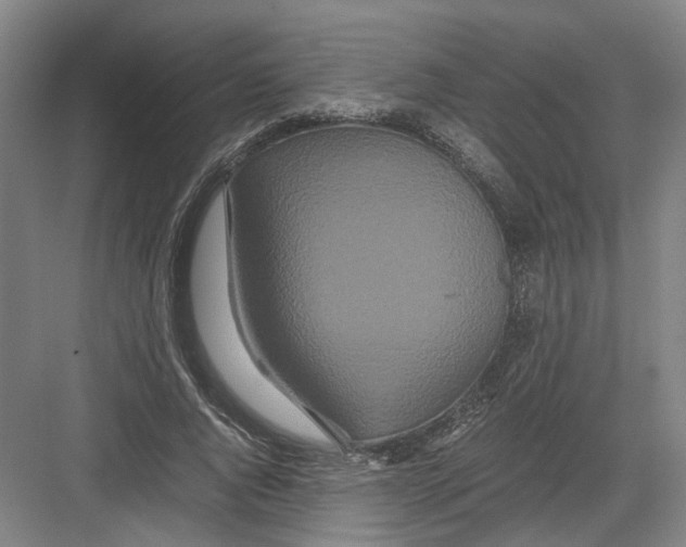 X0000082200736200702170018