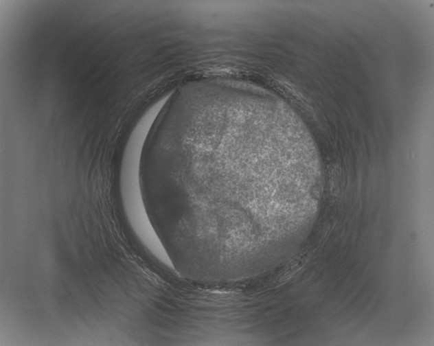 X0000082200737200702170018