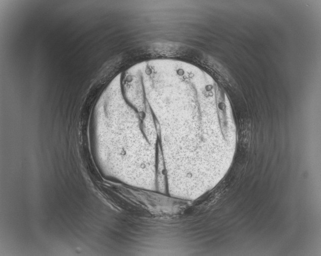 X0000082200738200702170018