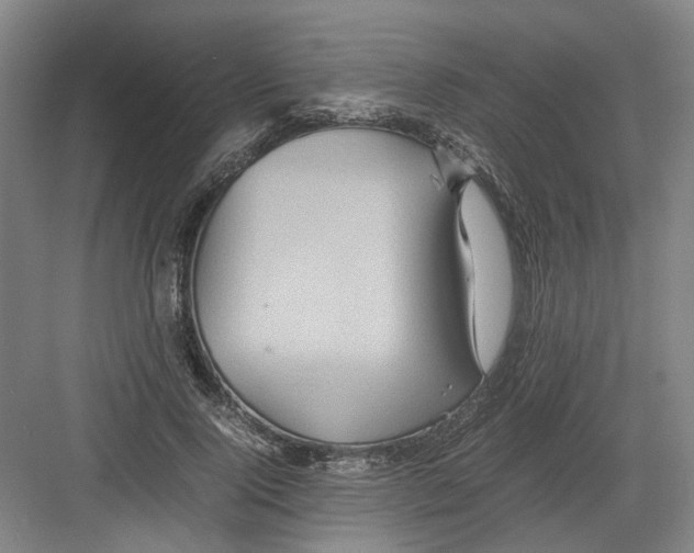 X0000082200740200702170018