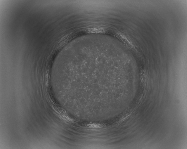 X0000082200741200702170018