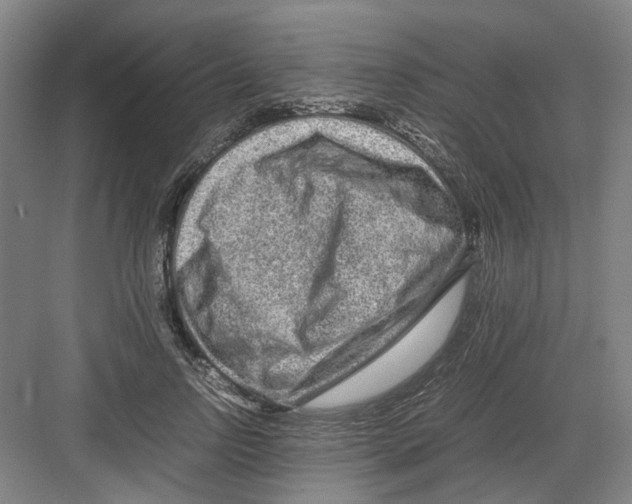 X0000082200742200702170018