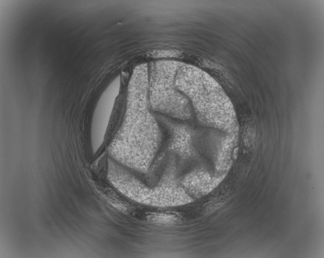 X0000082200743200702170018