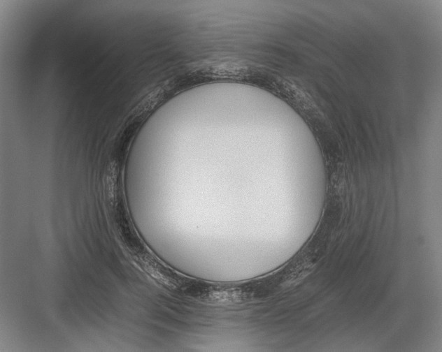 X0000082200744200702170018