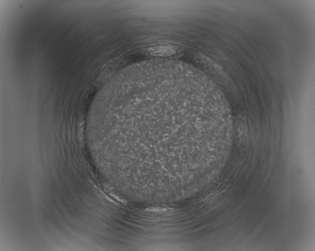 X0000082200745200702170018